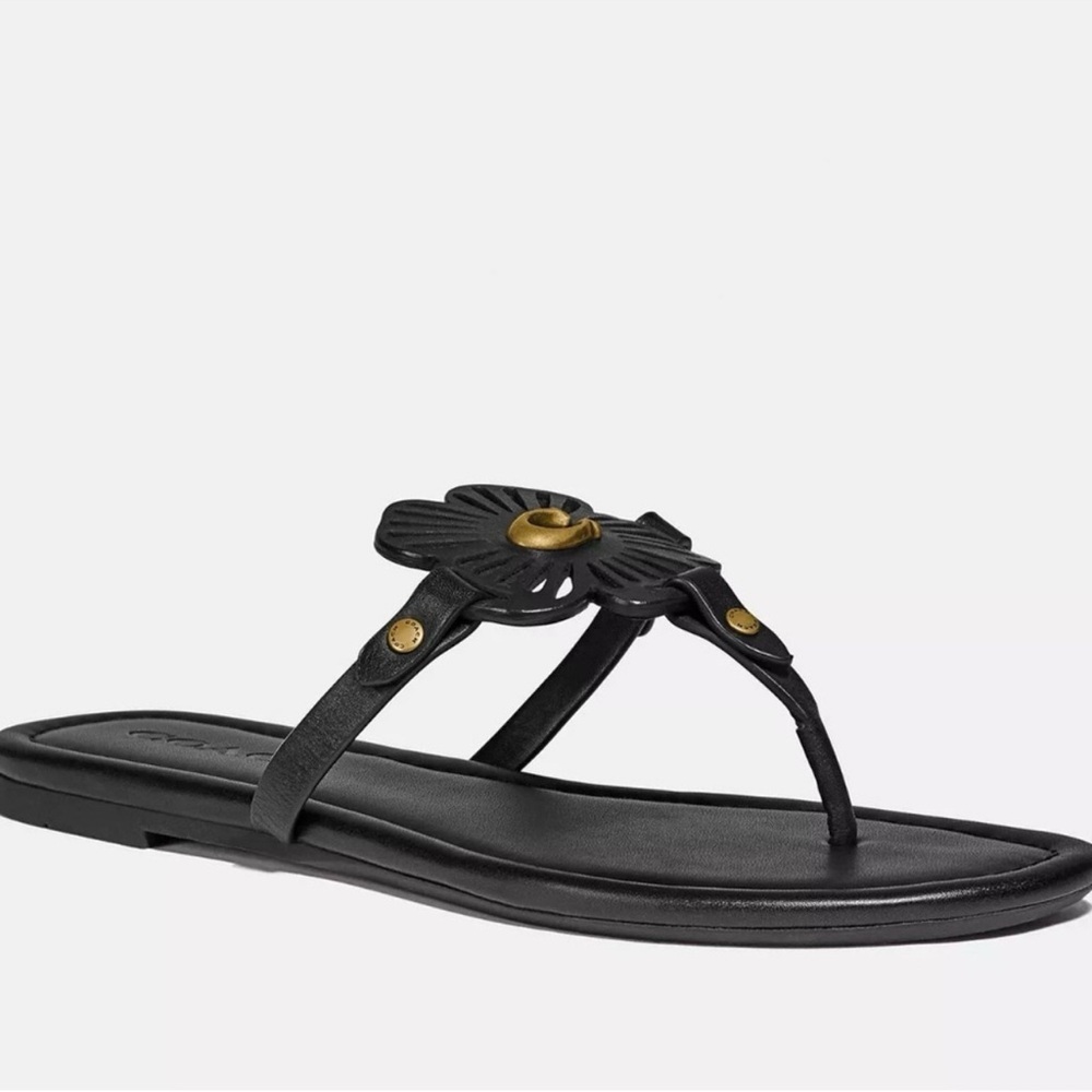Coach Black Sandals with Sleek Design - Picture 5 of 13